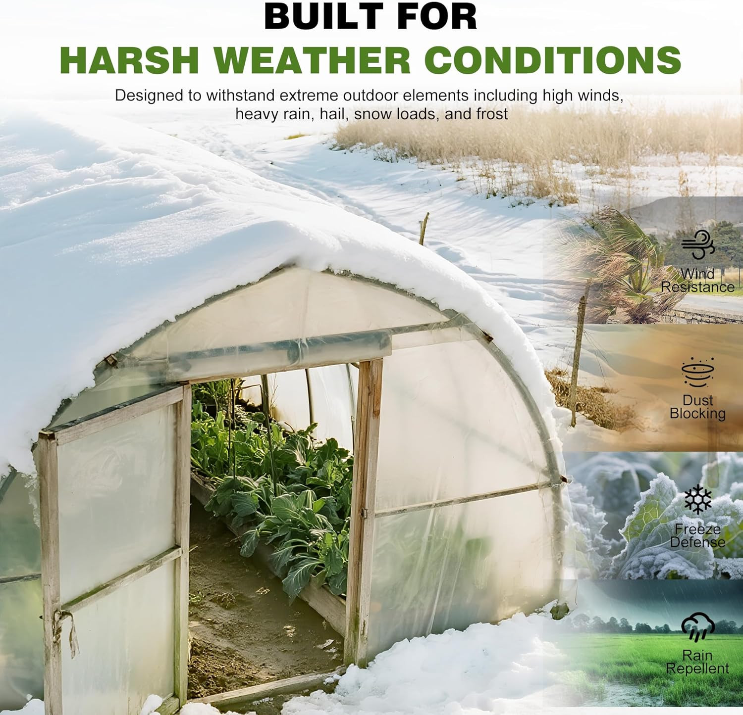 6 Mil Plastic Sheeting, 10X25 FT, Greenhouse Plastic | Heavy Duty, UV Resistant,