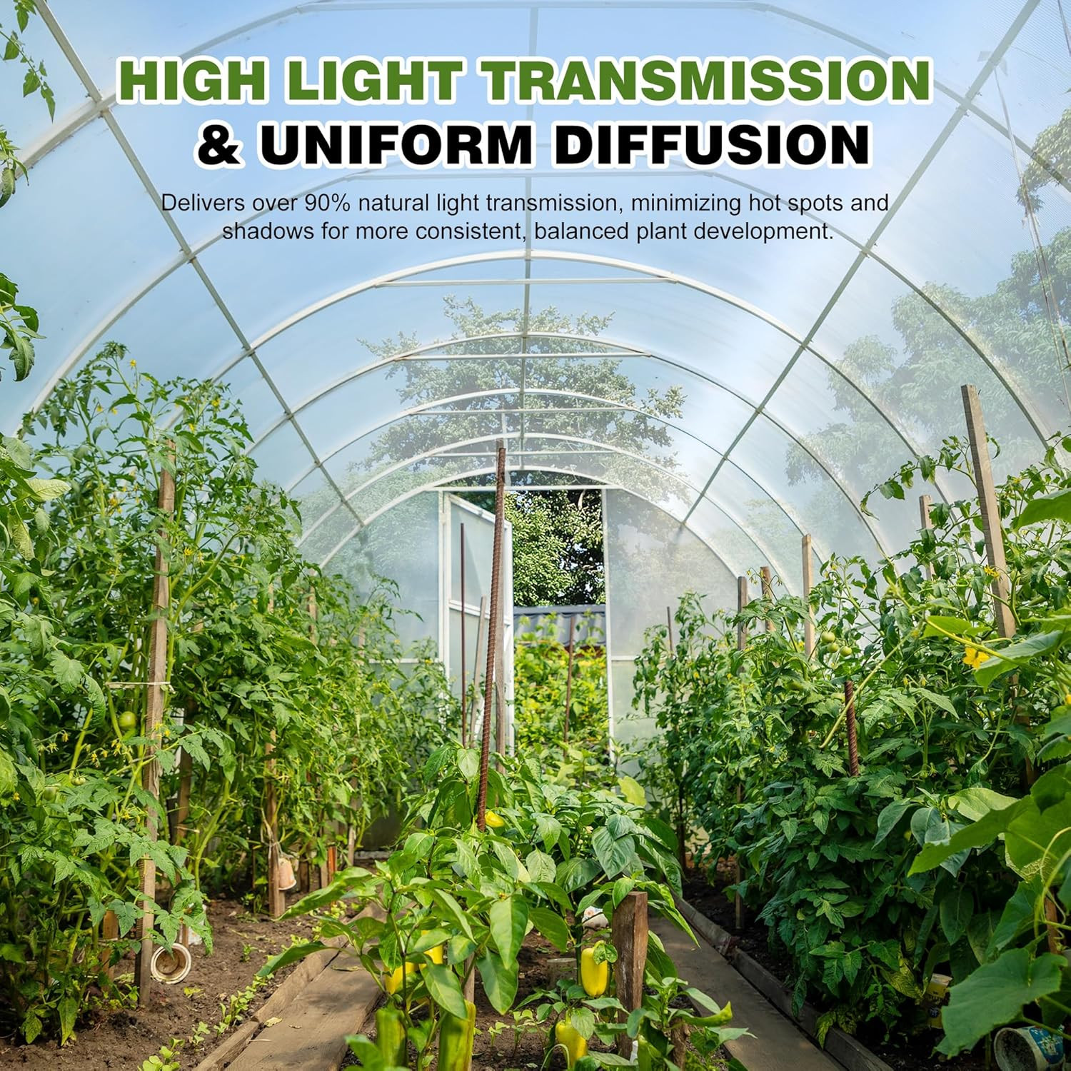 6 Mil Plastic Sheeting, 10X25 FT, Greenhouse Plastic | Heavy Duty, UV Resistant,