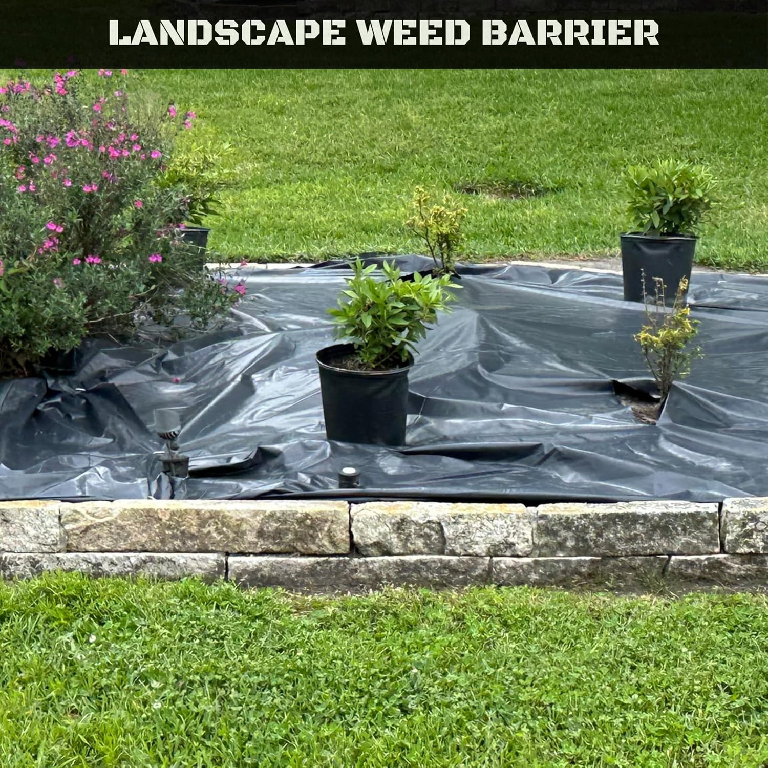 Plastic Sheeting 4 MIL Black (10X100) Roll for Tarp, Garden, Painters Drop Cloth