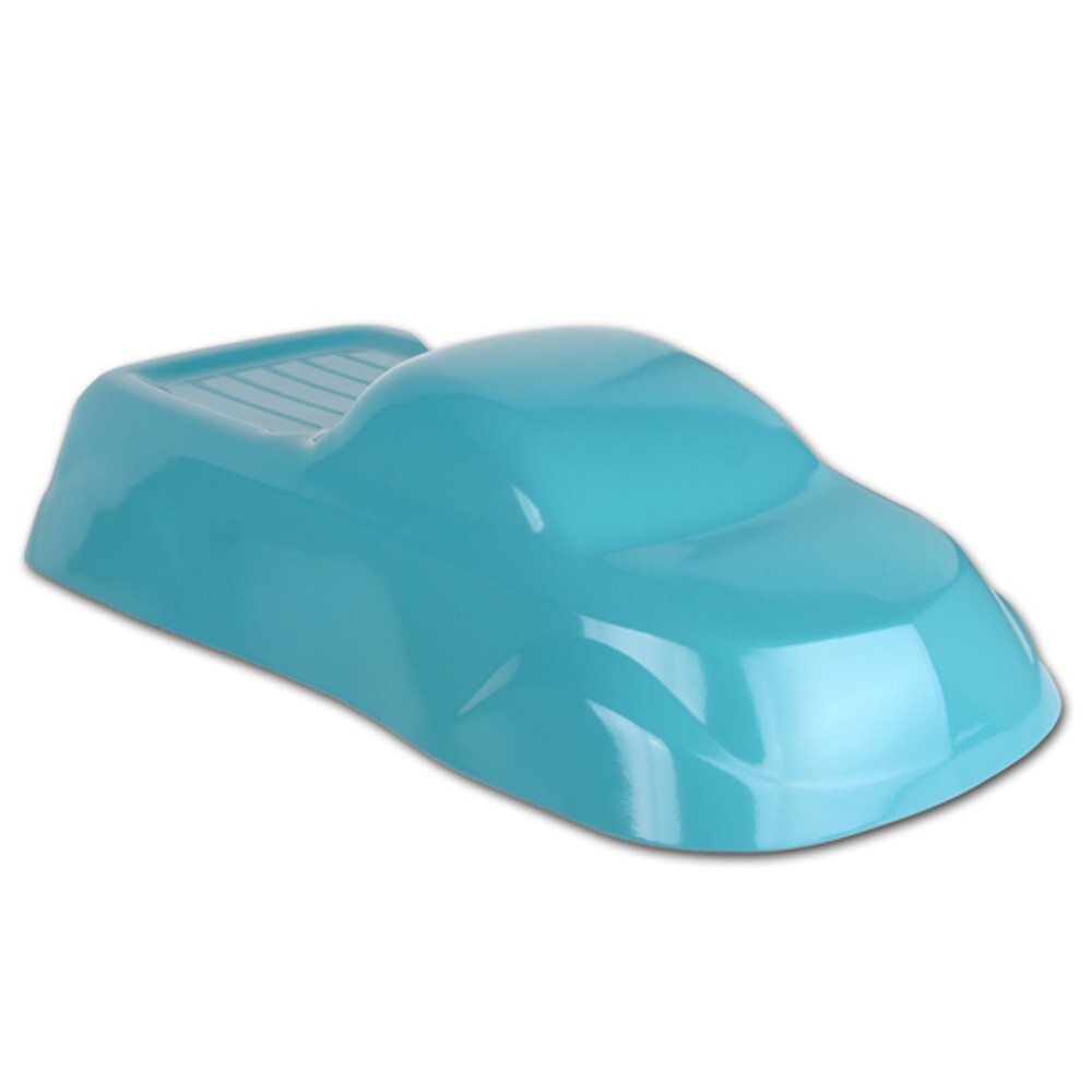 Powder Coating Paint RAL 5018 Turquoise Blue 1lb (.45KG)