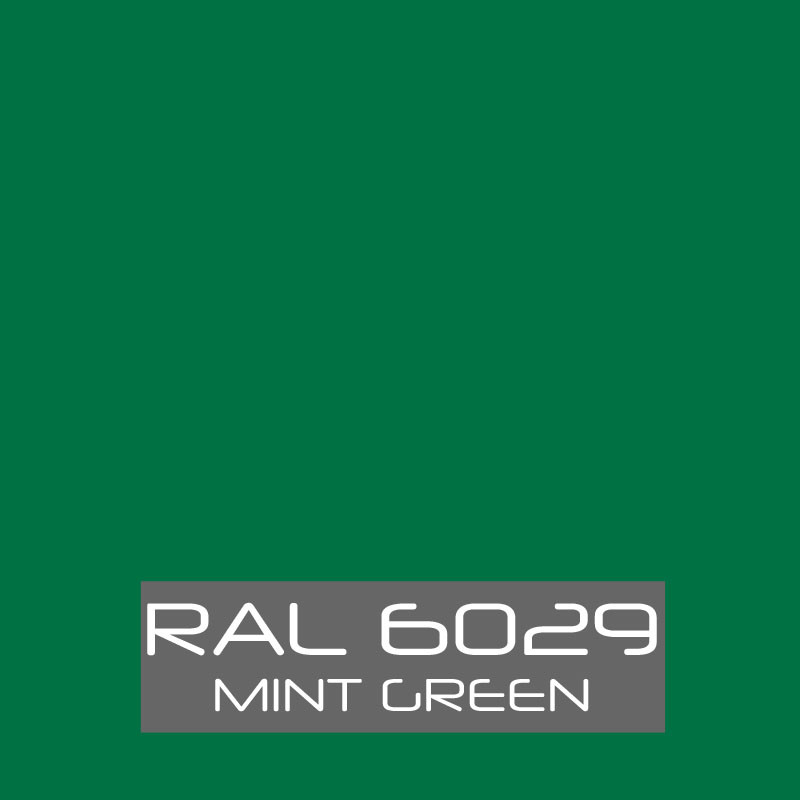 RAL 6029 Mint Green Powder Coat Paint – New 1LB