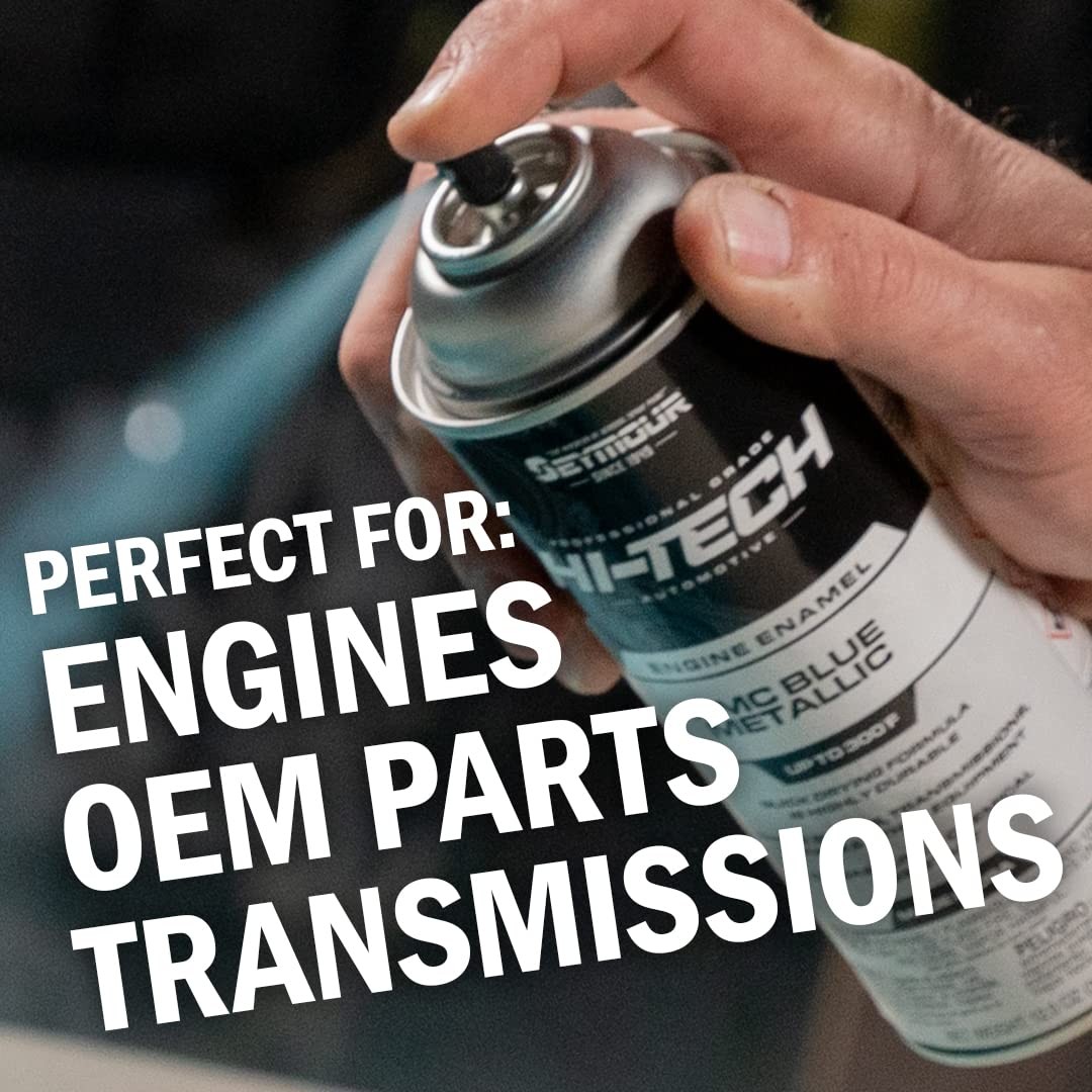 Seymour EN-41 Hi-Tech Engine Spray 12 Ounce (Pack of 1), Chrome Aluminum