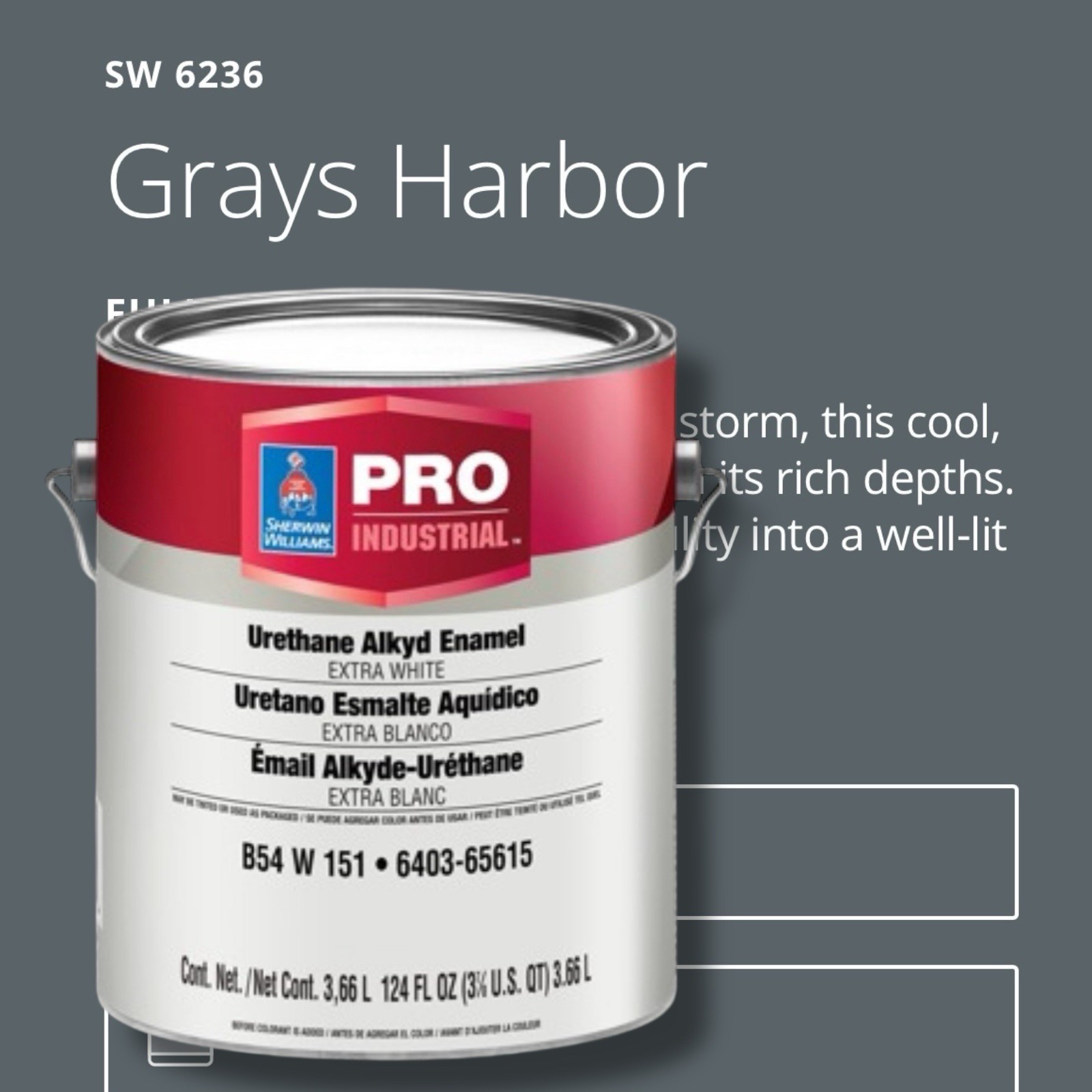 1 Gal Pro Industrial Enamel Alkyd 6236 Grays Harbor – Gloss