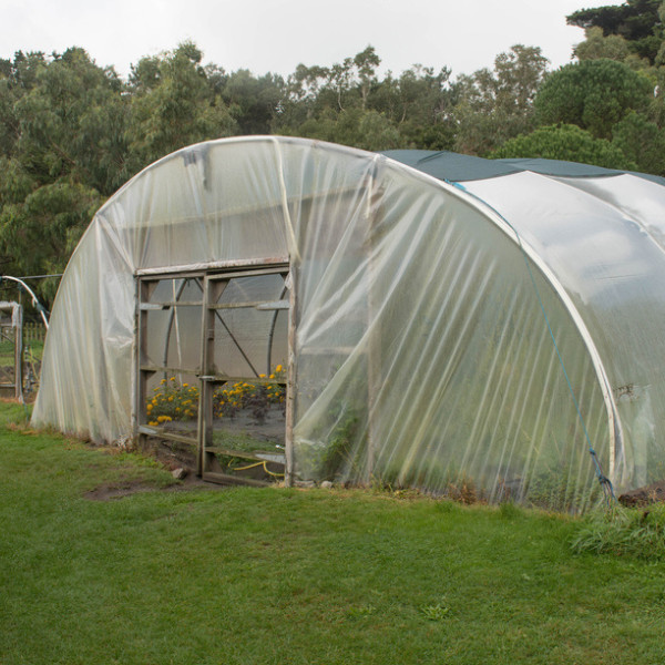 4 Year UV TUBE 6 mil Clear Greenhouse Plastic Sheeting – For Double Layers