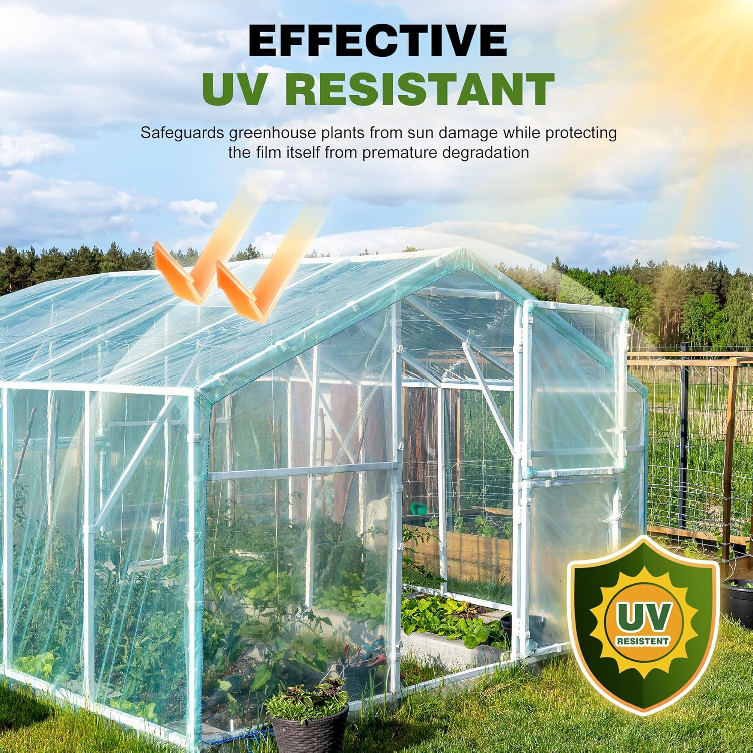 6 Mil Plastic Sheeting, 10X25 FT, Greenhouse Plastic | Heavy Duty, UV Resistant,