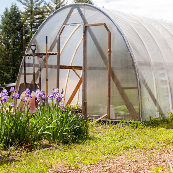 4 Year UV TUBE 6 mil Clear Greenhouse Plastic Sheeting – For Double Layers