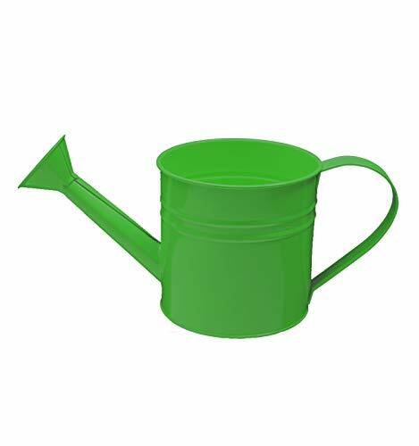 RAL 6018 Yellow Green High Gloss Powder Coatings Paint 5 LB / 2.267 KG USA Made