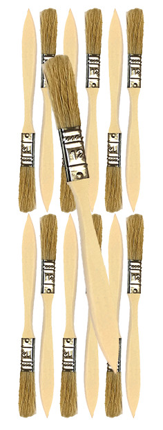 12 Pk- 1/2 inch Chip Paint Brushes for Paint, Stains,Varnishes,Glues,Gesso