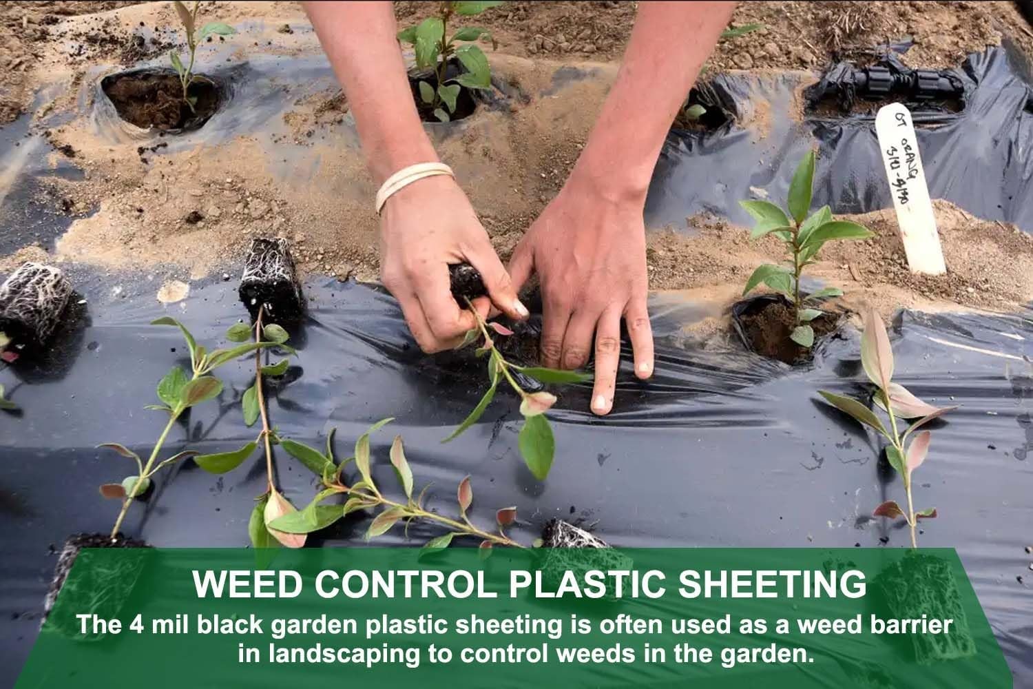 4 mil black plastic sheeting 4 ft × 100 ft Weed control fabric Heavy-duty roll