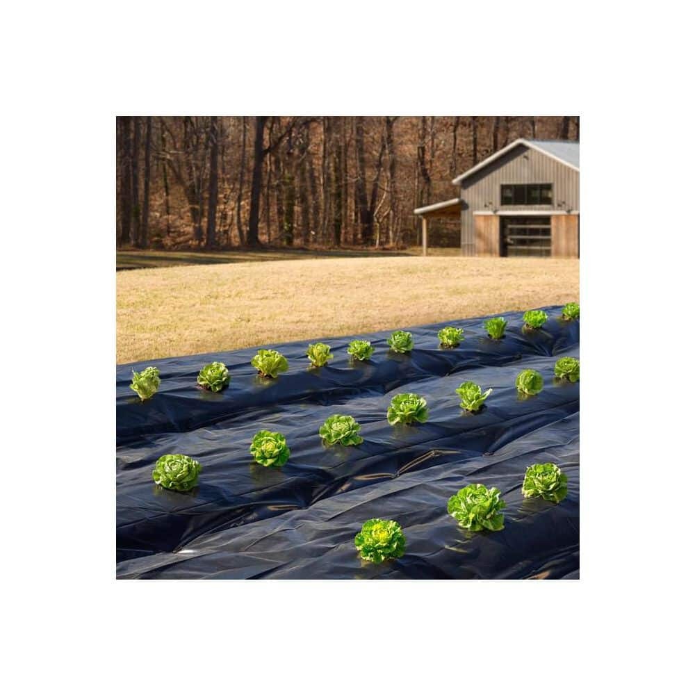 HDX 10 ft. x 100 ft. Black 6 mil Plastic Sheeting