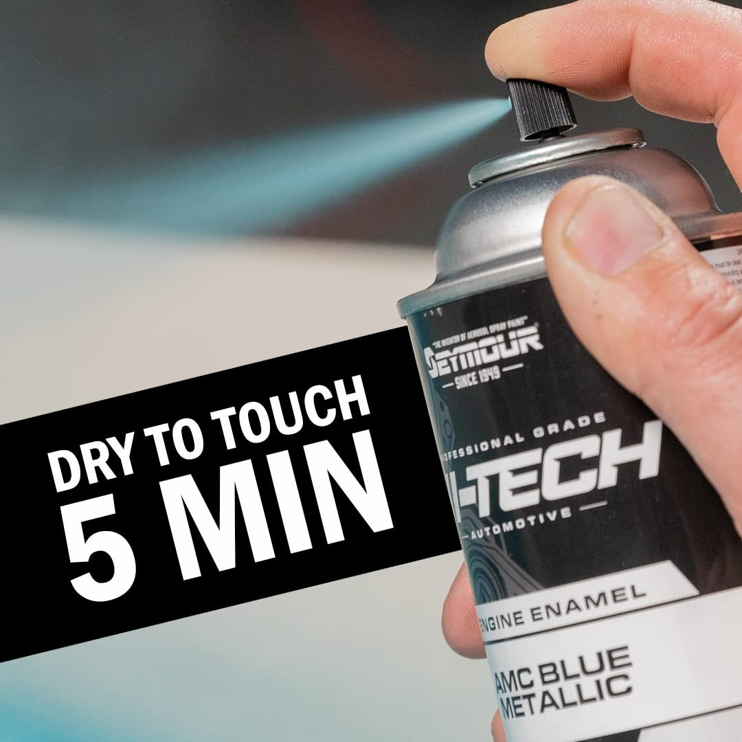 Seymour EN-41 Hi-Tech Engine Spray 12 Ounce (Pack of 1), Chrome Aluminum