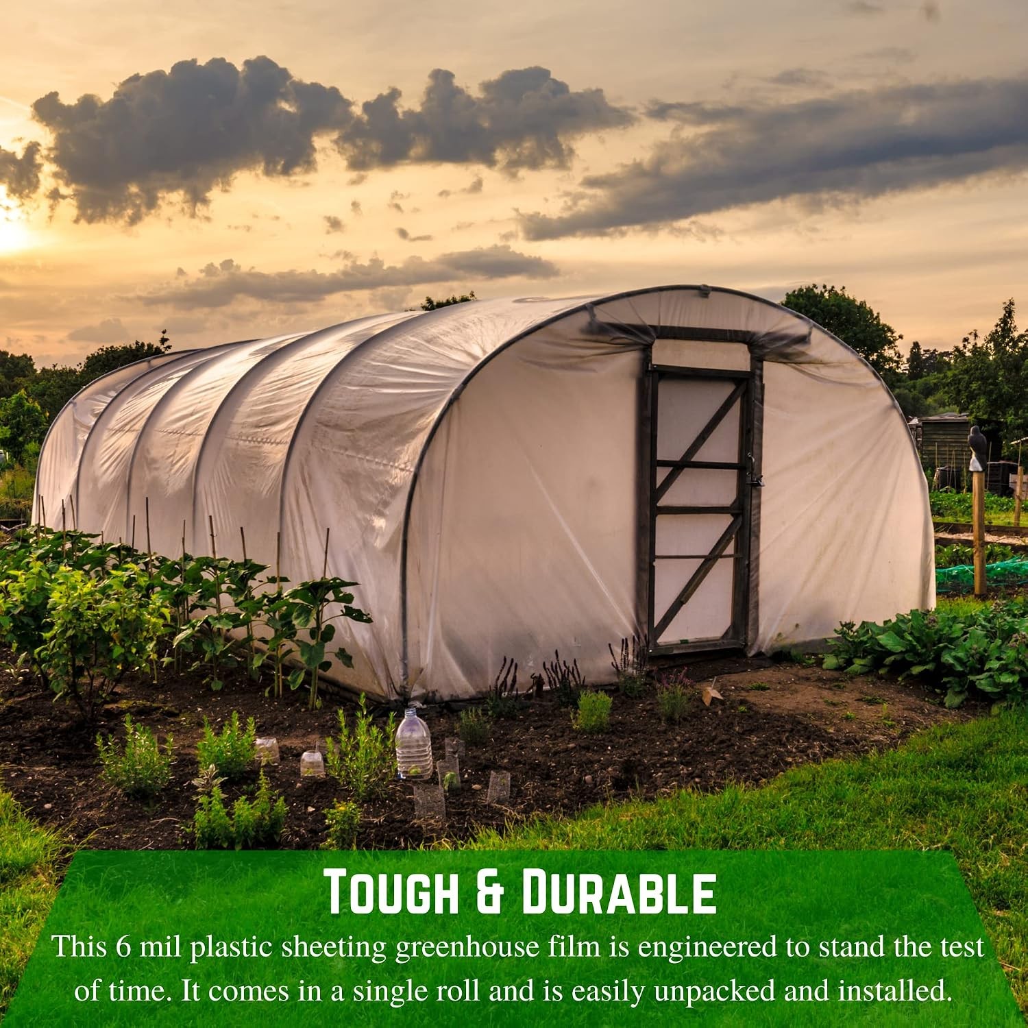 Clear Greenhouse Plastic Sheeting 6 mil 10′ x 50′ 4 Year UV Resistant
