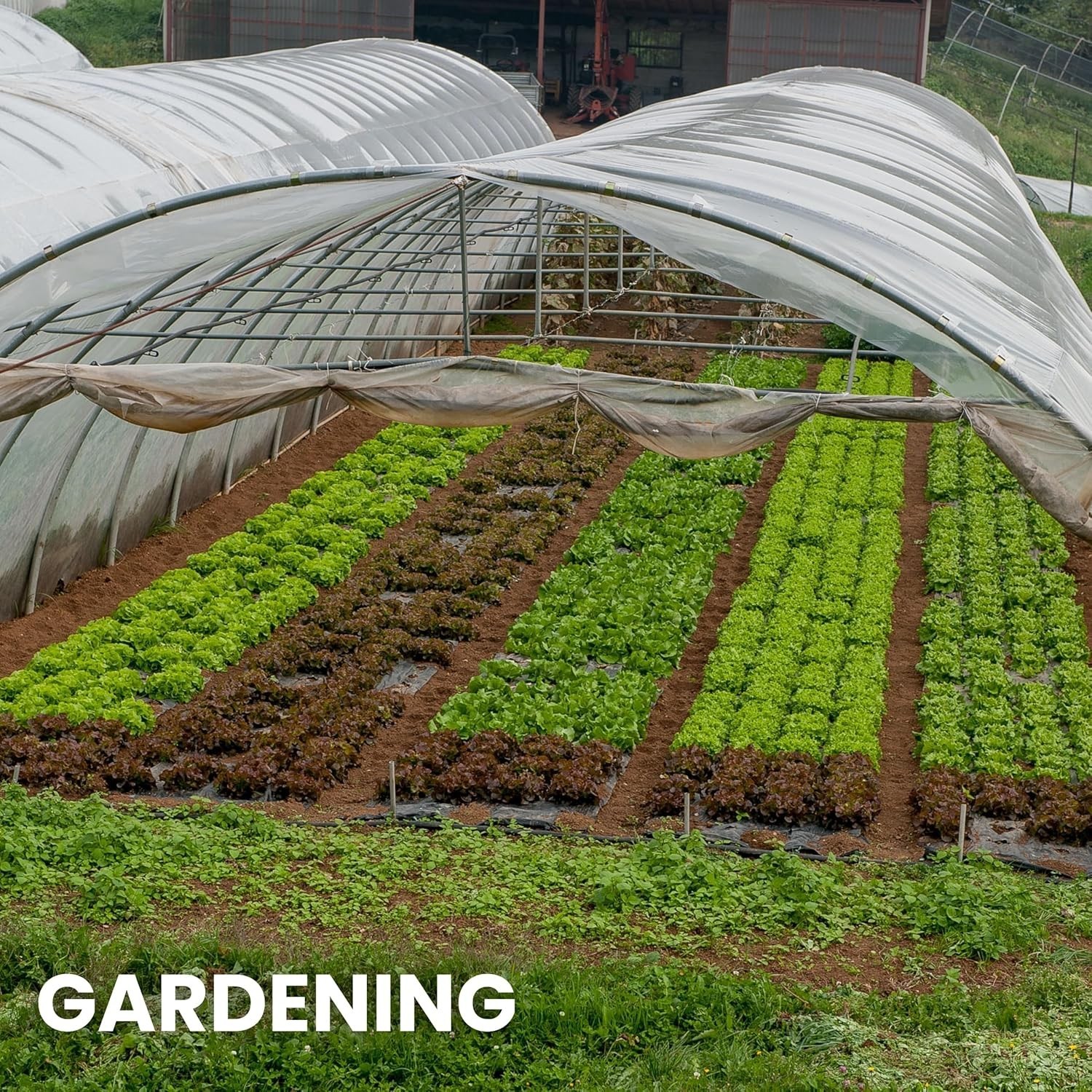Versatile 6 Mil UV Protection Clear Sheeting – 10′ x 25′ for Gardening and More