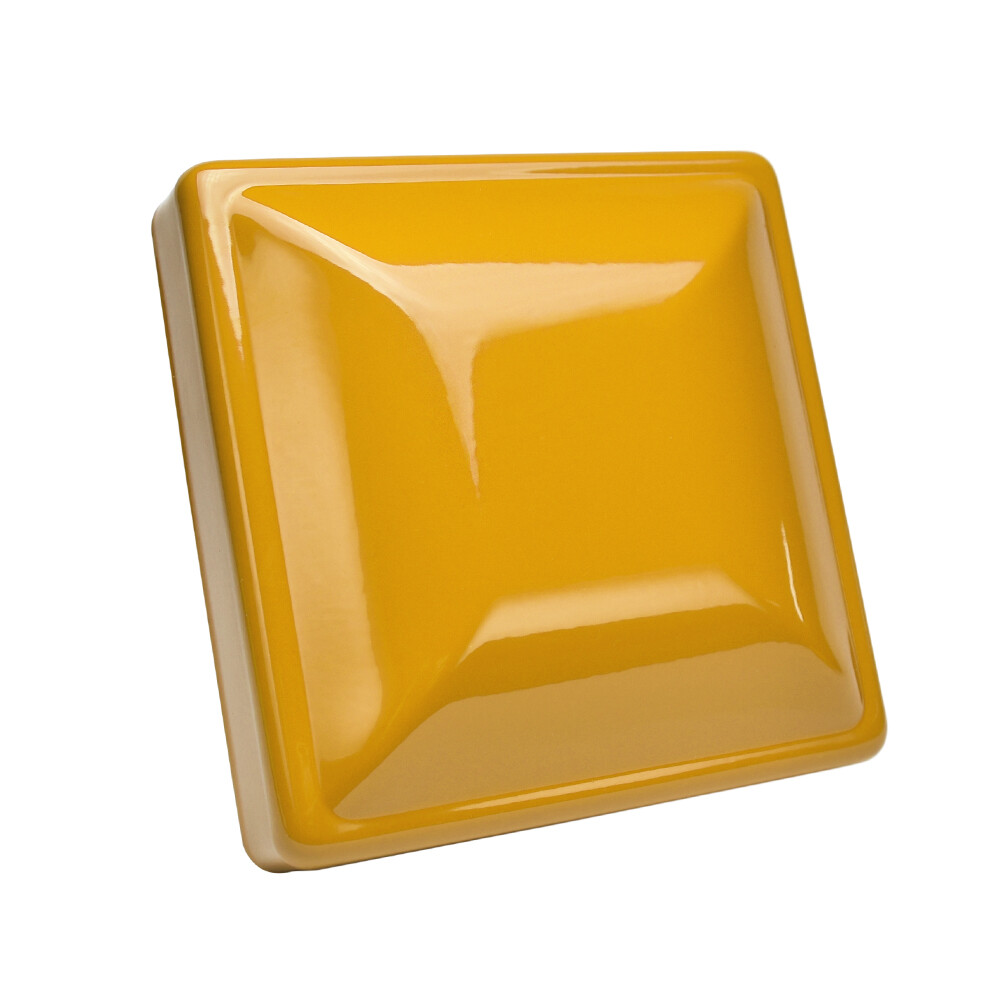 RAL 1004 – Golden Yellow Powder Coating Powder (RAL1004) 1lb