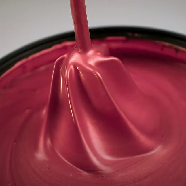 Project Source 1-gallon Plastic Paint stir stick
