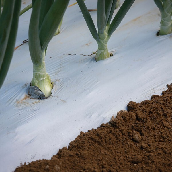 Vapor Barrier Supply – Poly Mulch Black/White Polyethylene Film